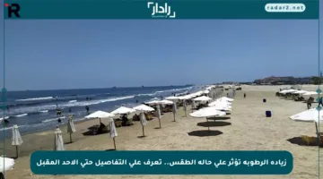 زيادة الرطوبة تؤثر على حالة الطقس.. تعرف على التفاصيل حتى الأحد المقبل